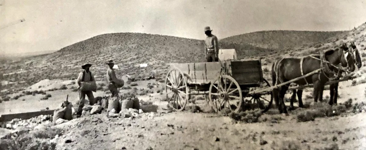 Broken Hills, Nevada, circa 1915, ore sacks loaded for shipment to the railroad at Fallon