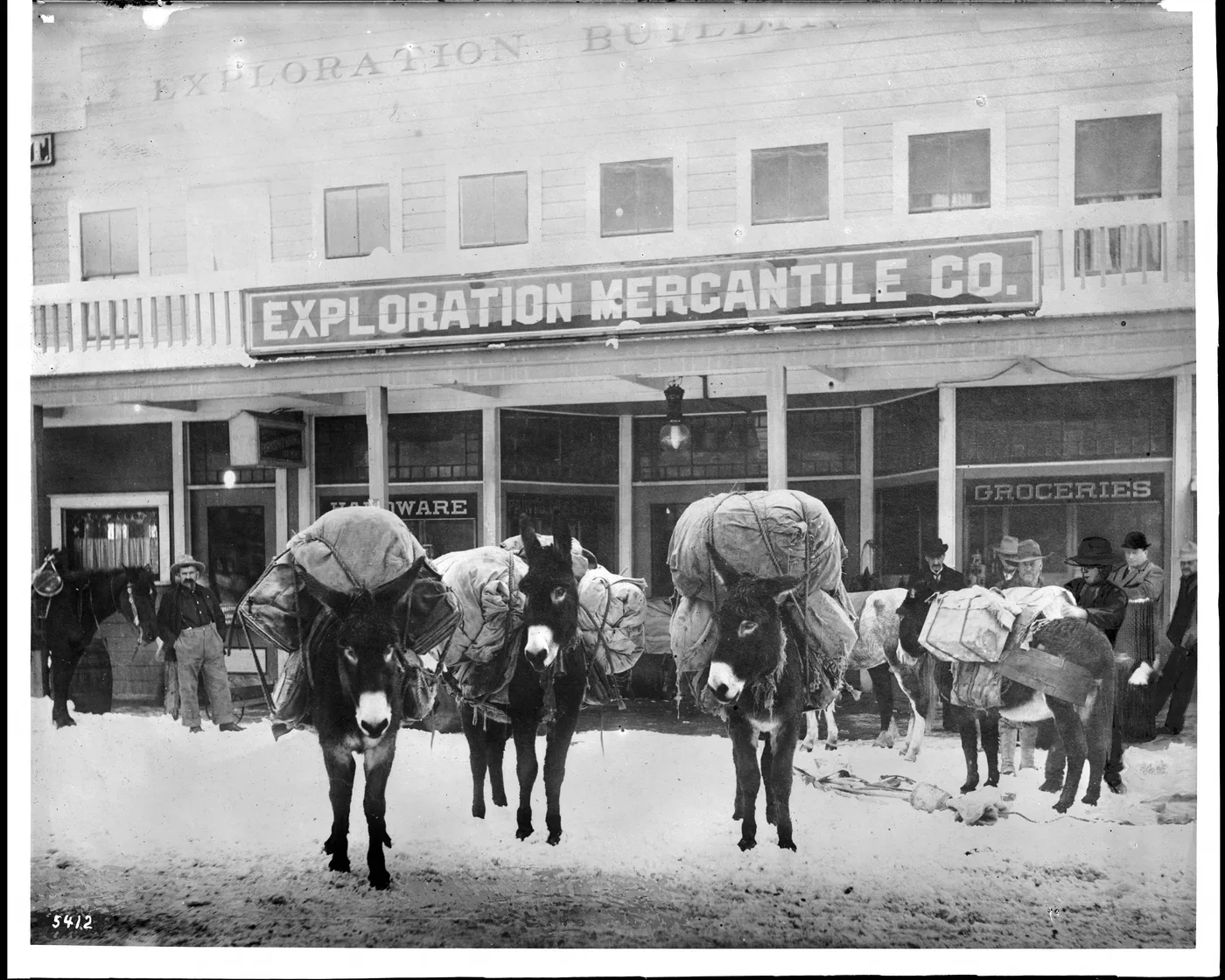 Miner's pack animals in front of mining supply stores, Goldfield, Nevada, circa 1900